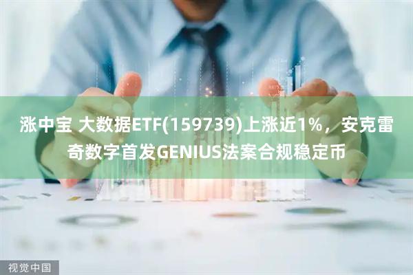 涨中宝 大数据ETF(159739)上涨近1%，安克雷奇数字首发GENIUS法案合规稳定币
