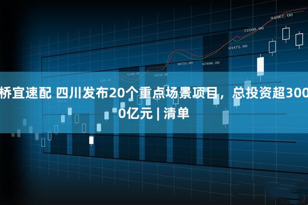 桥宜速配 四川发布20个重点场景项目，总投资超3000亿元 | 清单