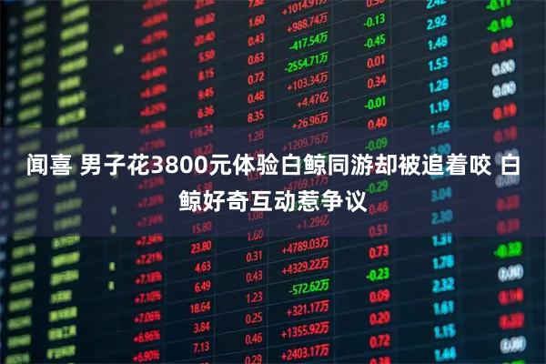 闻喜 男子花3800元体验白鲸同游却被追着咬 白鲸好奇互动惹争议